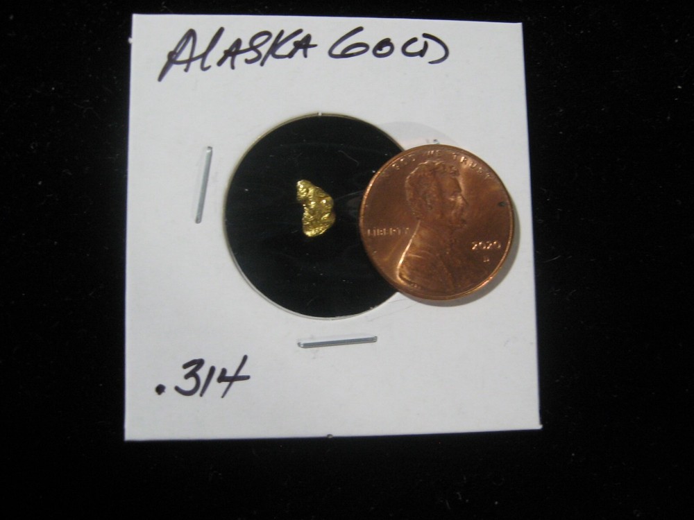 ALASKA GOLD .314 GRAM