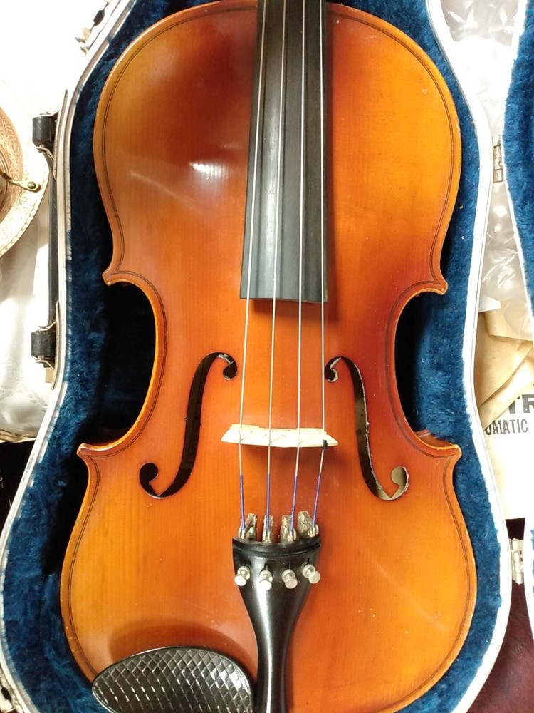 Beautiful Zeswitz Viola