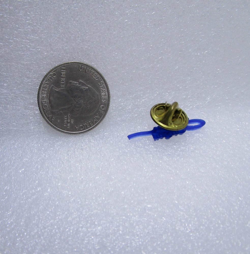 Salem Oregon Plastic Pin