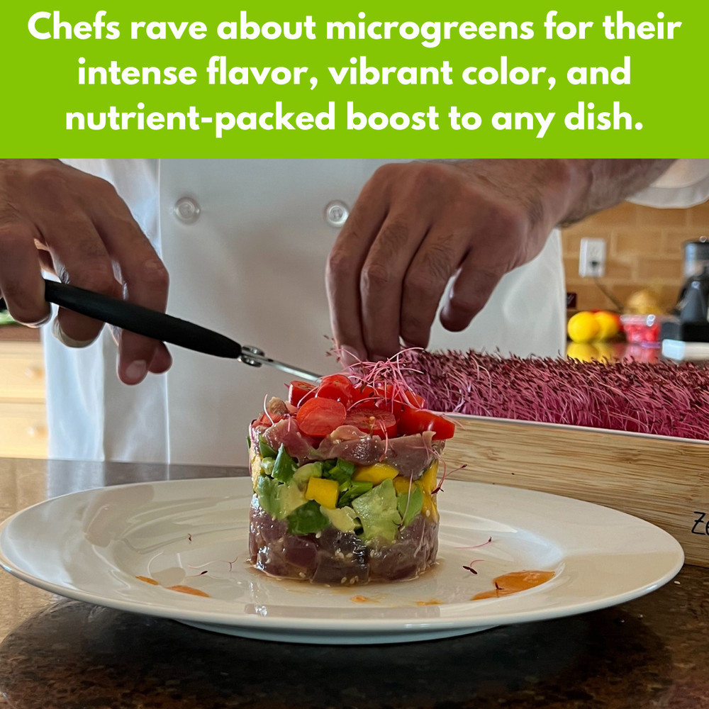 Organic Variety Pack Microgreens Seeds