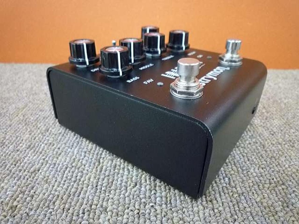 STRYMON IRIDIUM ＆IR CAB