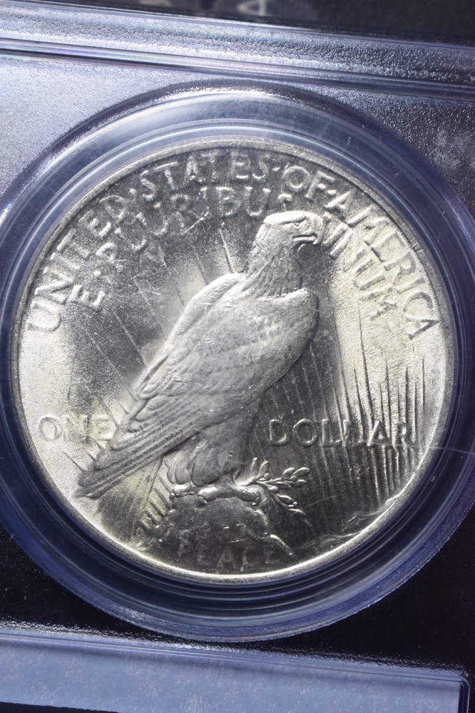 1924 Peace $1 PCGS MS64