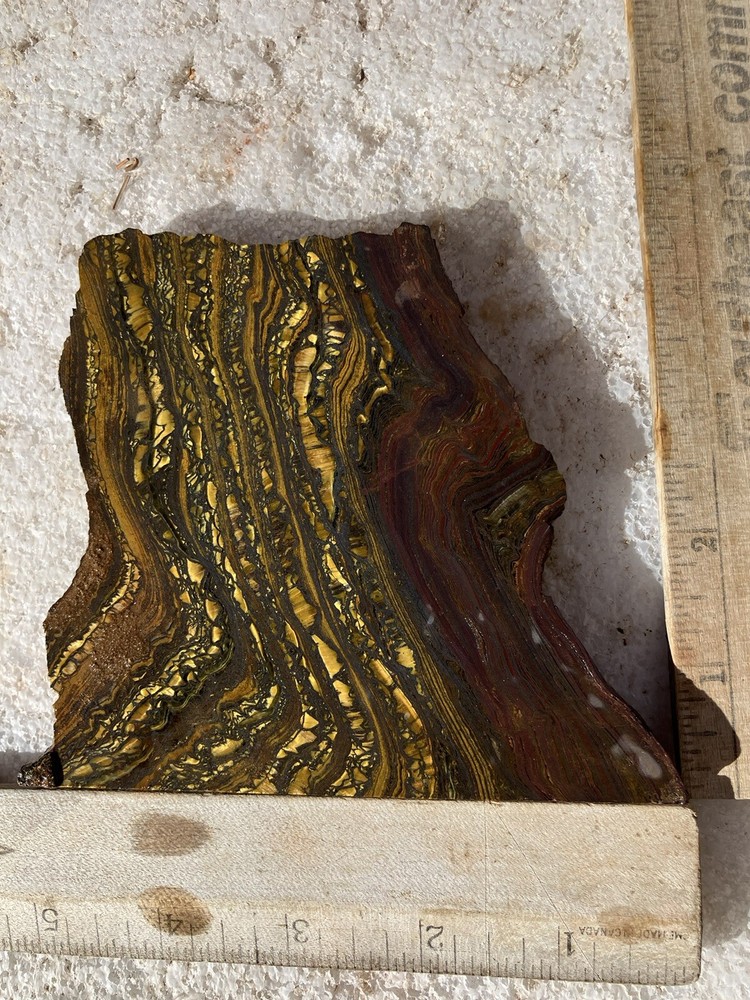 Tiger Iron Slab