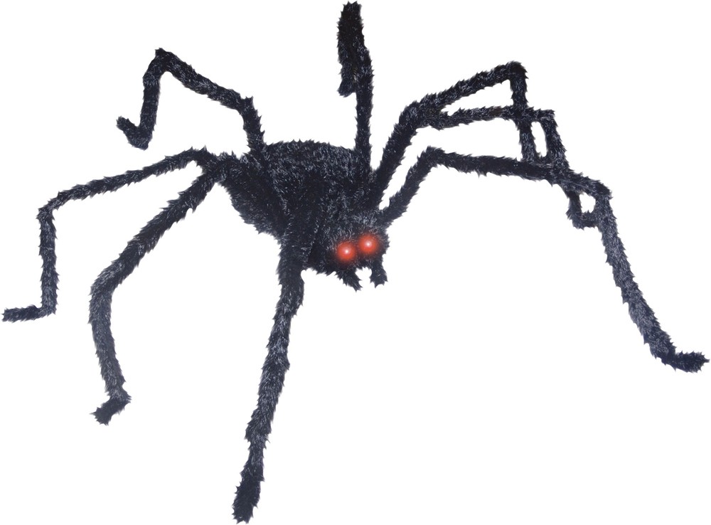 Spider - Sunstar Industries