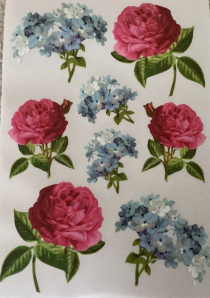 Anna Griffin Flower Rub On Transfer