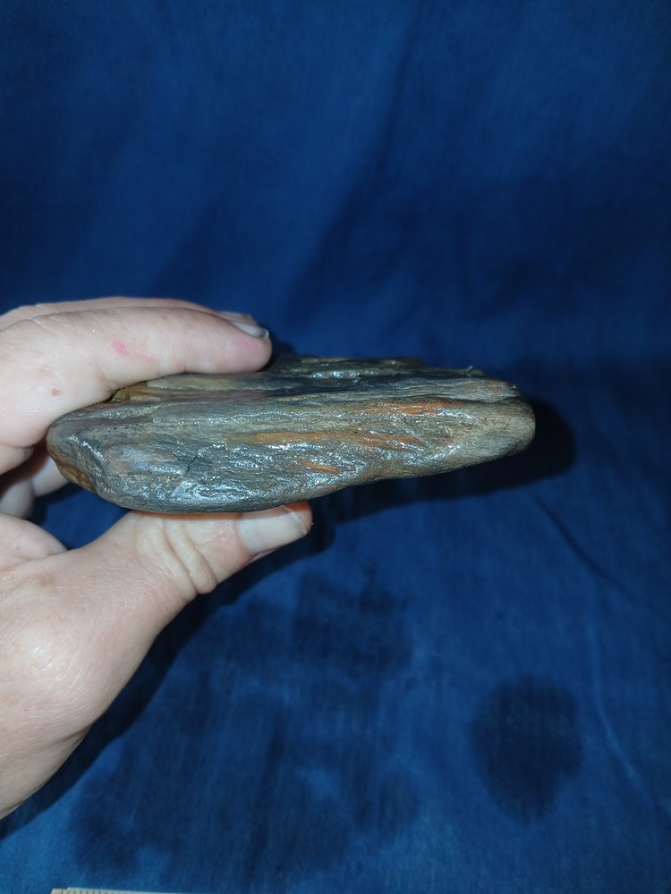 10 oz Texas Petrified Wood