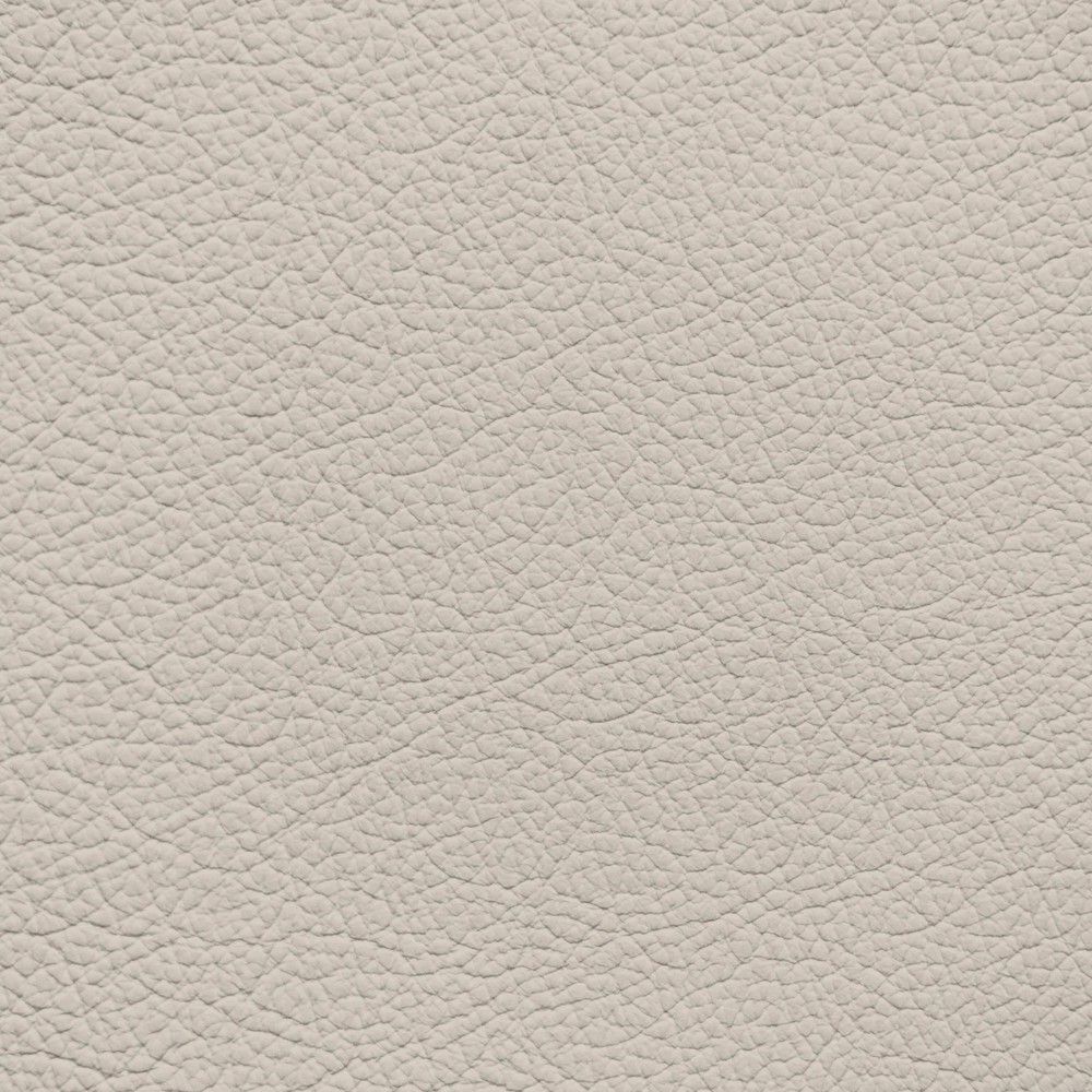 BMW Greige Leather Dye