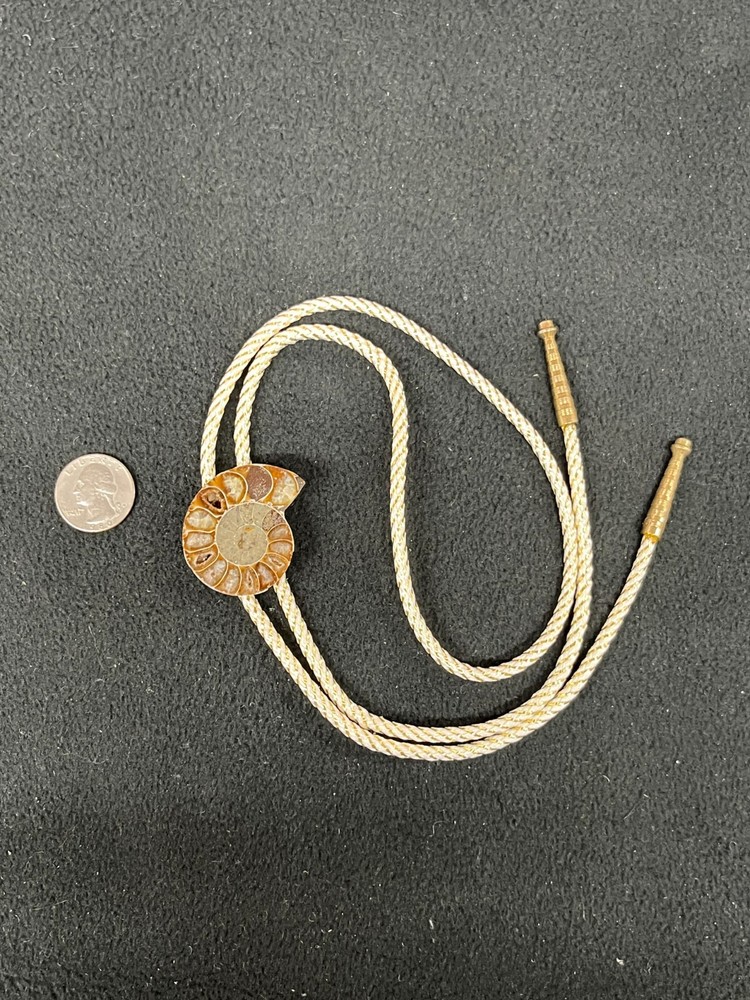 Ammonite Madagascar Western Bolo Tie