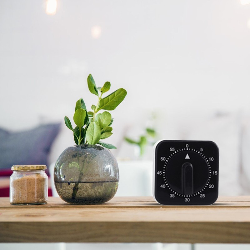 Portable Mechanical Timer Visual Countdown Clock for Time Management Tool Loud A