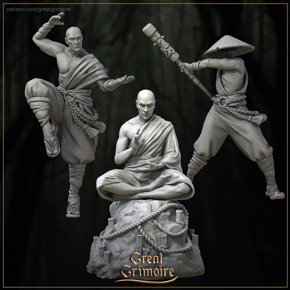 Exiled monks Human Monk Rogue Fighter Miniature | D&D DnD