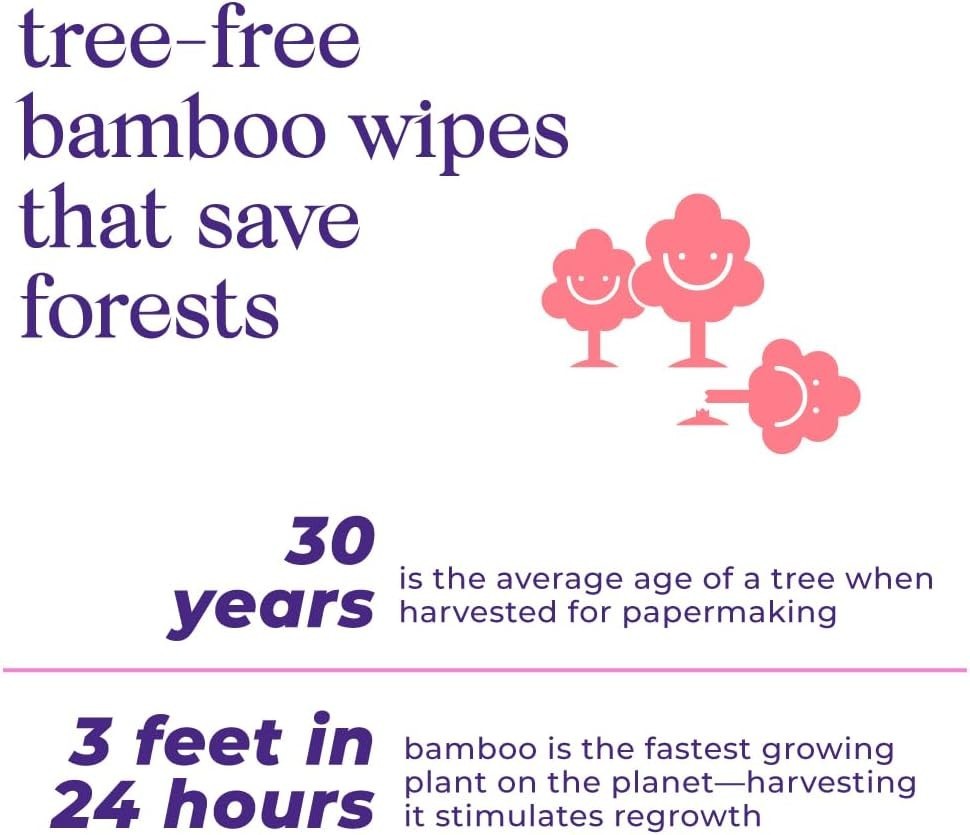 Flushable Wet Wipes 100% Plant Based Extra-Large Size Durable Bamboo Body Safe