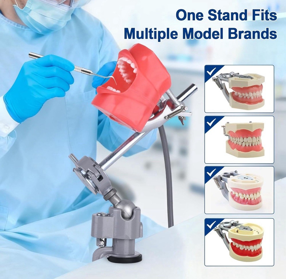 Dental Typodont Training Model Mount Kit
