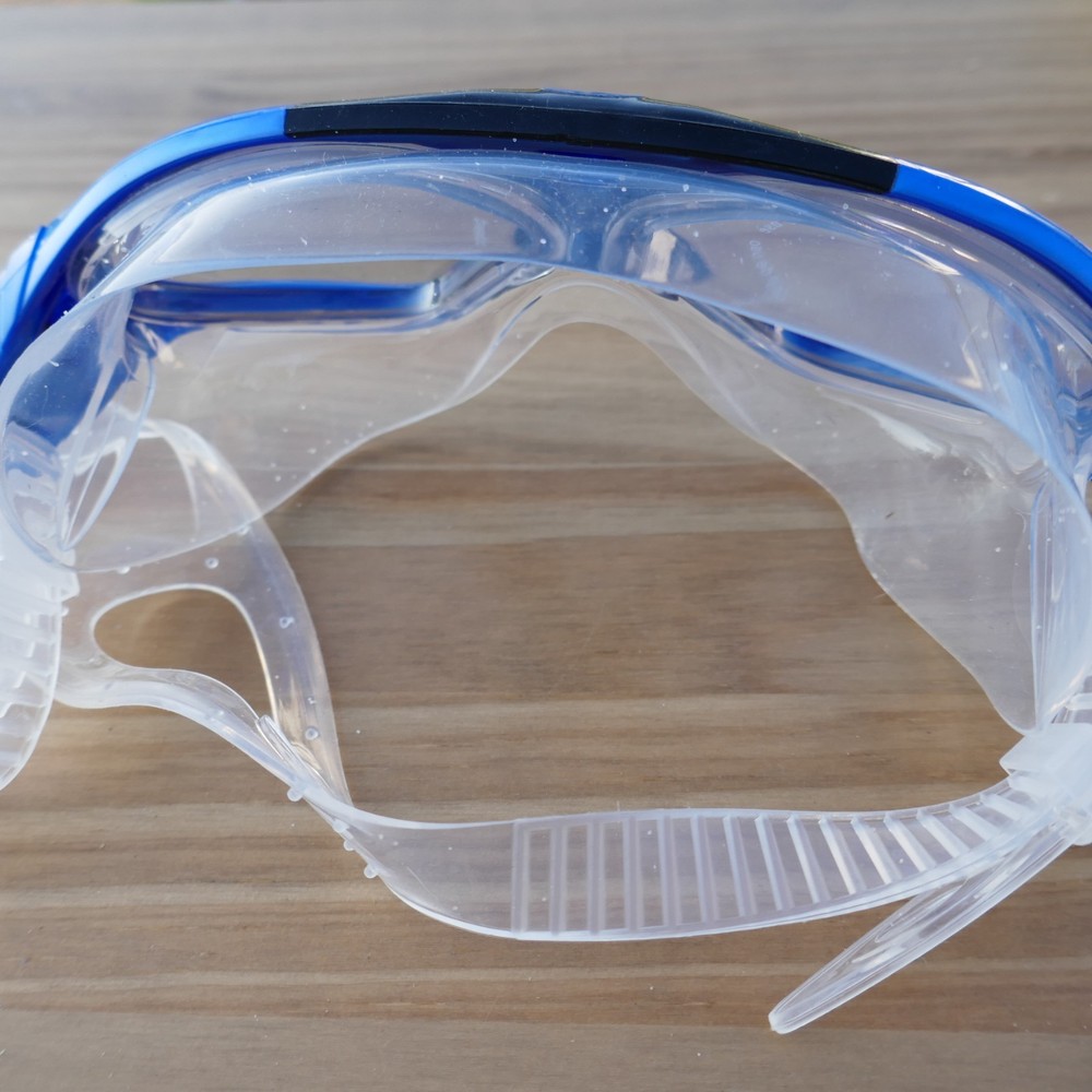 Outdoor Master Goggles Blue And Clear With Case