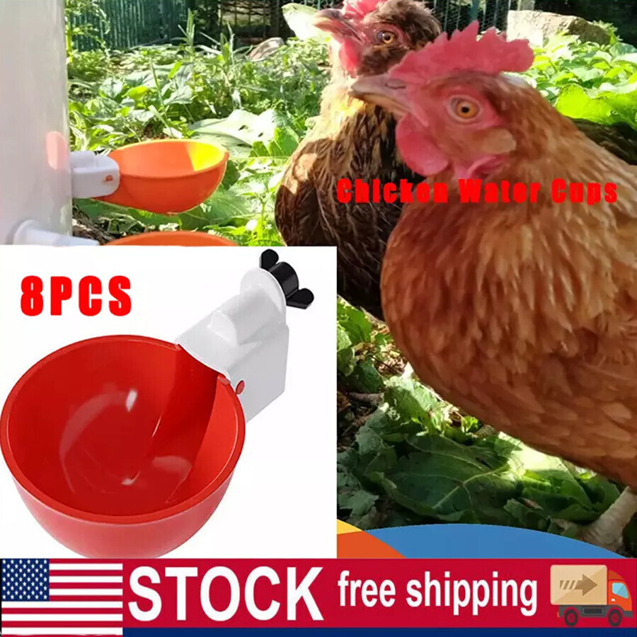 8X Poultry Water Drinking Cups Chicken Hen Plastic Automatic Drinker Feeder