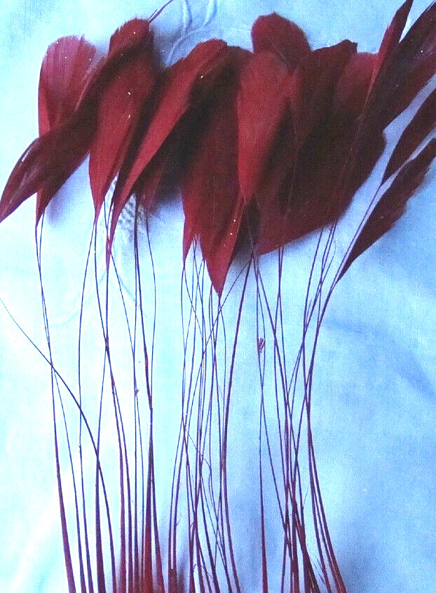 Red Star Dust Stripped Coque Feathers 15 Pc Sparkle Glitter Glitz Hat
