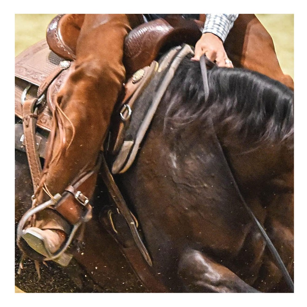 CLASSIC EQUINE ESP Felt Top 31x32 Saddle Pad (CESPF18)