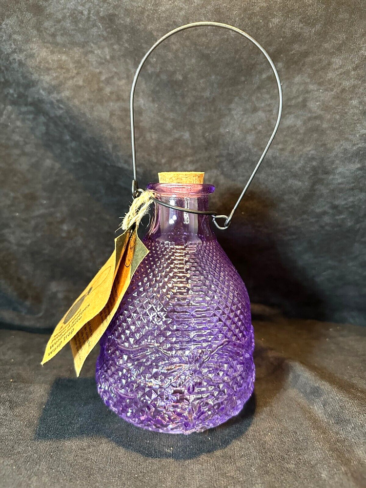 Esschert's Garden Pressed Amethyst Glass Hanging Bottle Wasp Trap