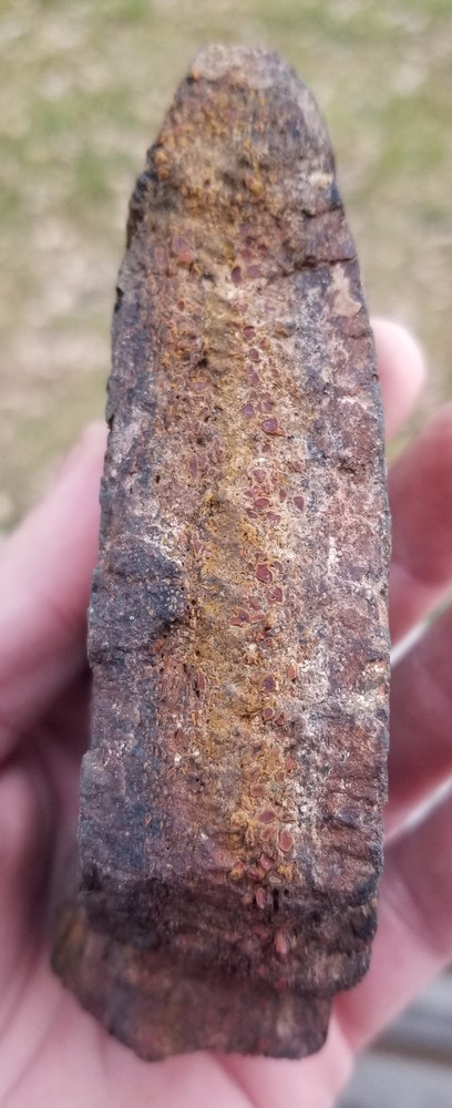 Agatized Dinosaur Gem Bone Natural Red Multicolor Roughcut 433g Specimen Cab Lap