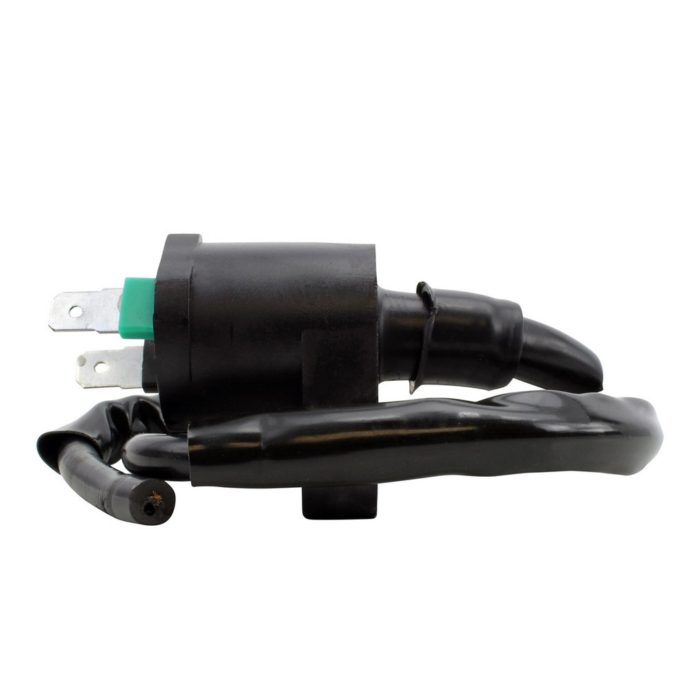 RM STATOR External Ignition Coil RM06025