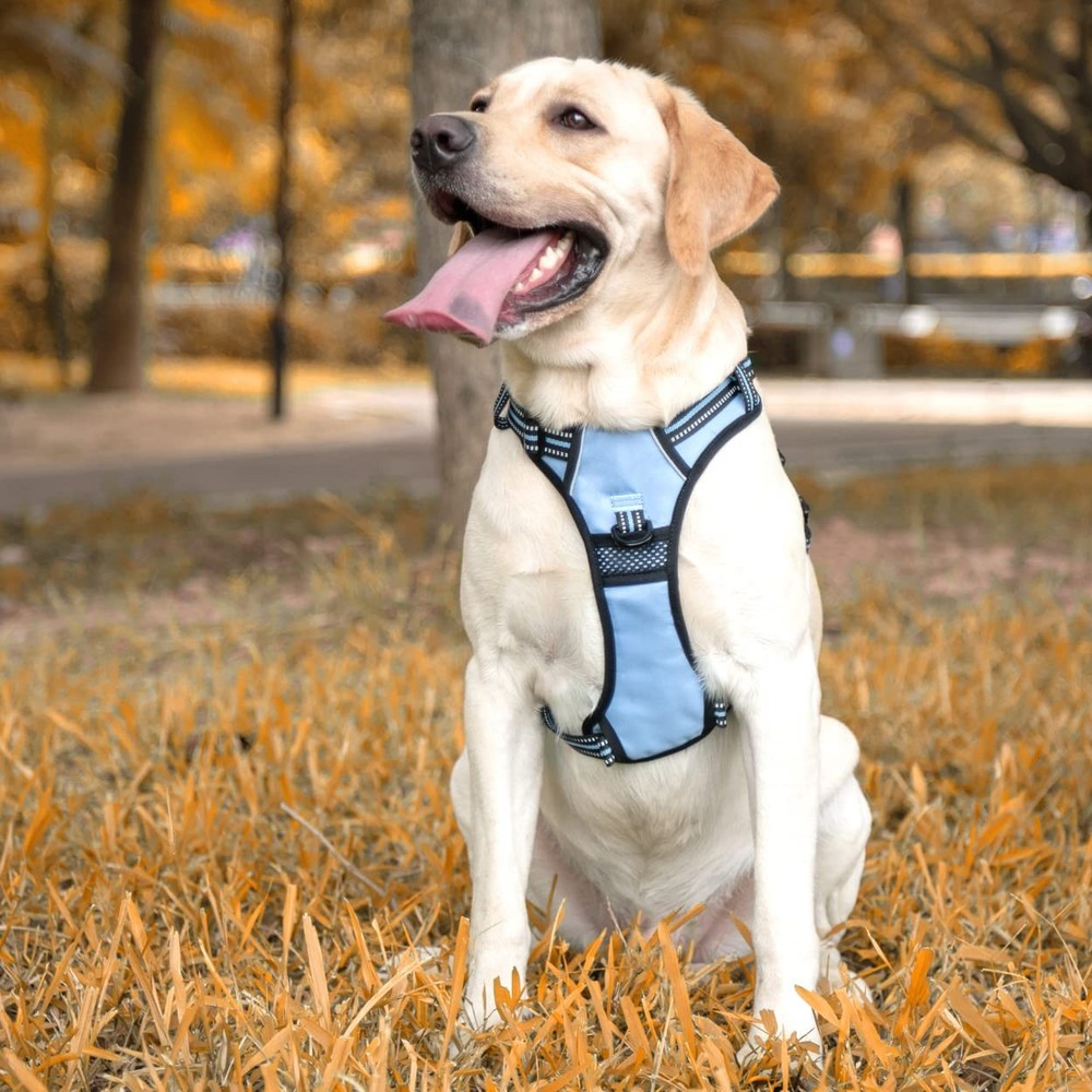 No Pull Dog Harness, [Release on Neck] Reflective Adjustable No Choke Pet Ves...