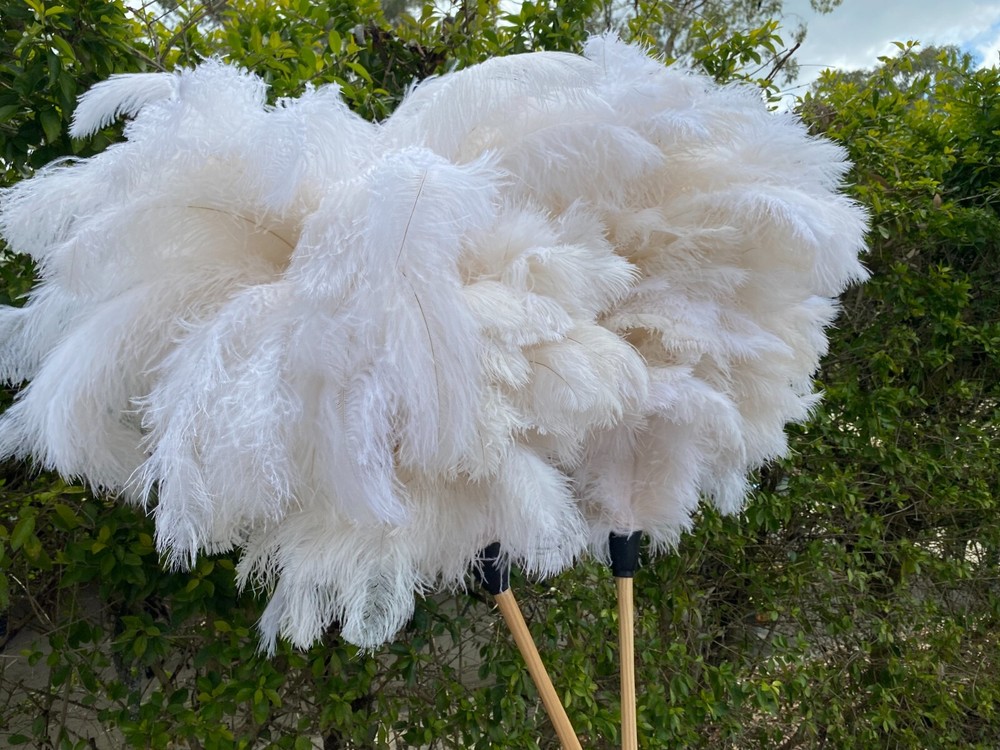First grade ostrich feather display 180grm white ostrich feathe