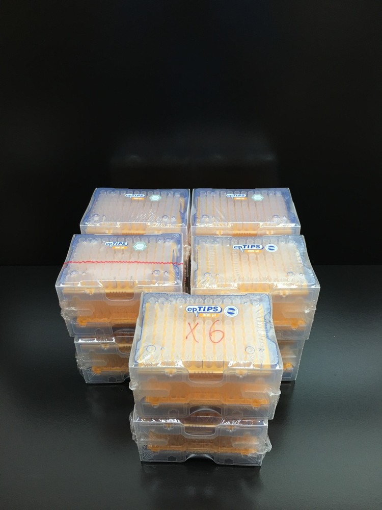 Eppendorf 300uL epTIPS Pipette Tips Lot 6 Racks