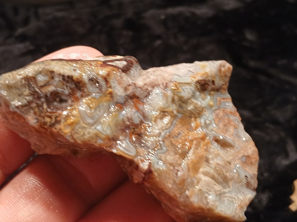 Laguna Lace Agate Rough End