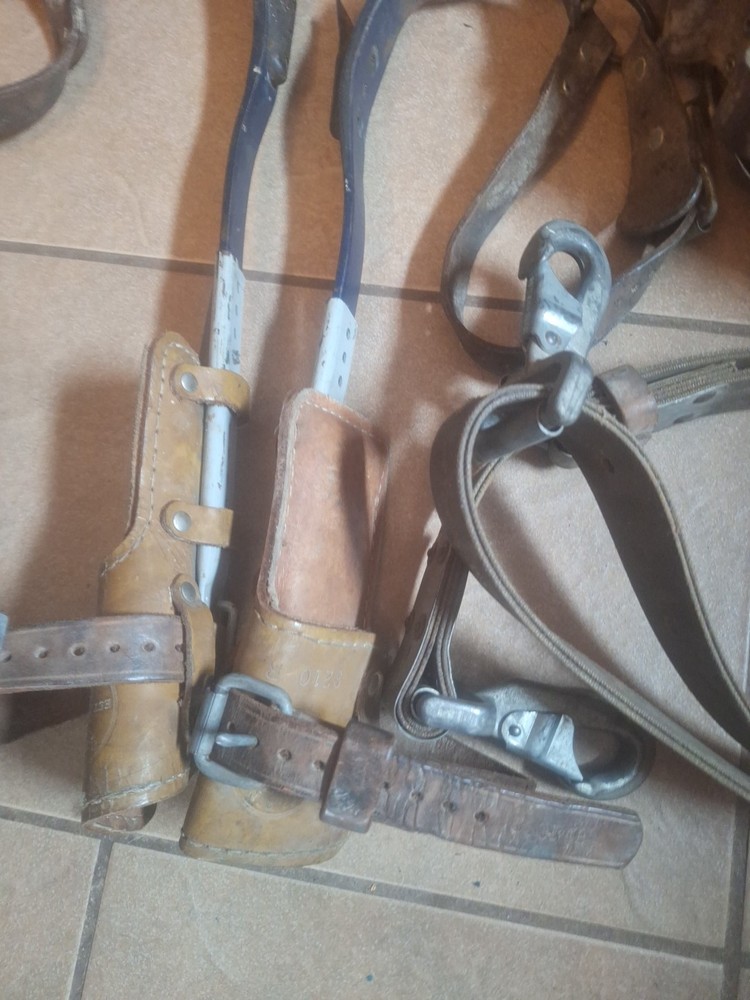 Klein Tree Climbing Spikes Bashlin Linemen Belt