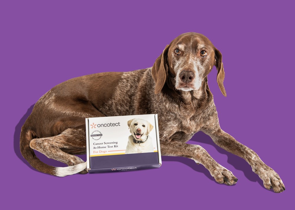 Oncotect Essential Dog Cancer Screening Test Kit OTC1