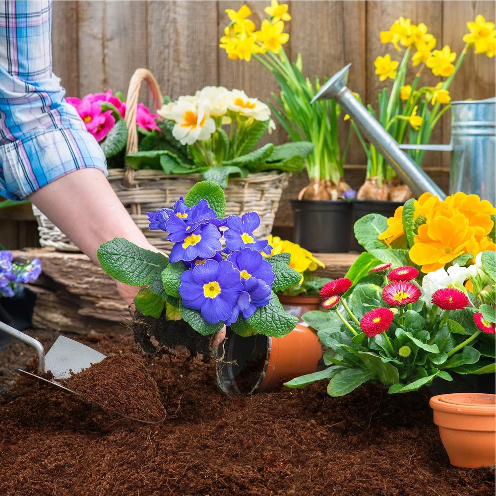 Coco Peat Brick Coir Compost Block Coconut Potting Fibre Compressed Soil