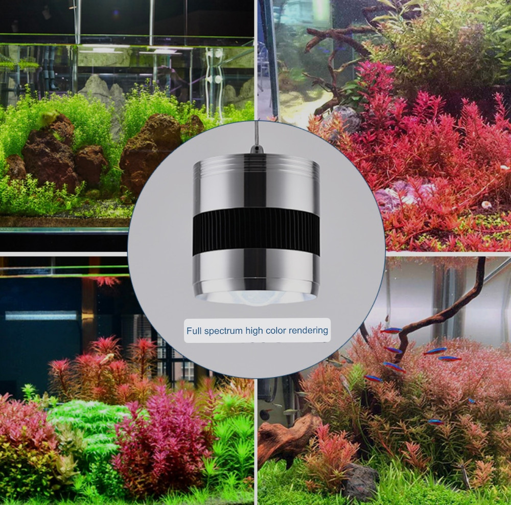 QPSON full spectrum LED light