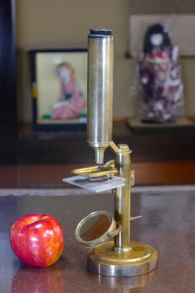 microscope antique collectible Peter Dolond's achromatic microscope