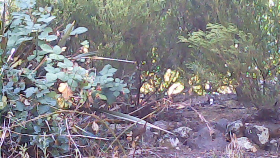 1.3MP USB 2.0 Camera Module with Cable