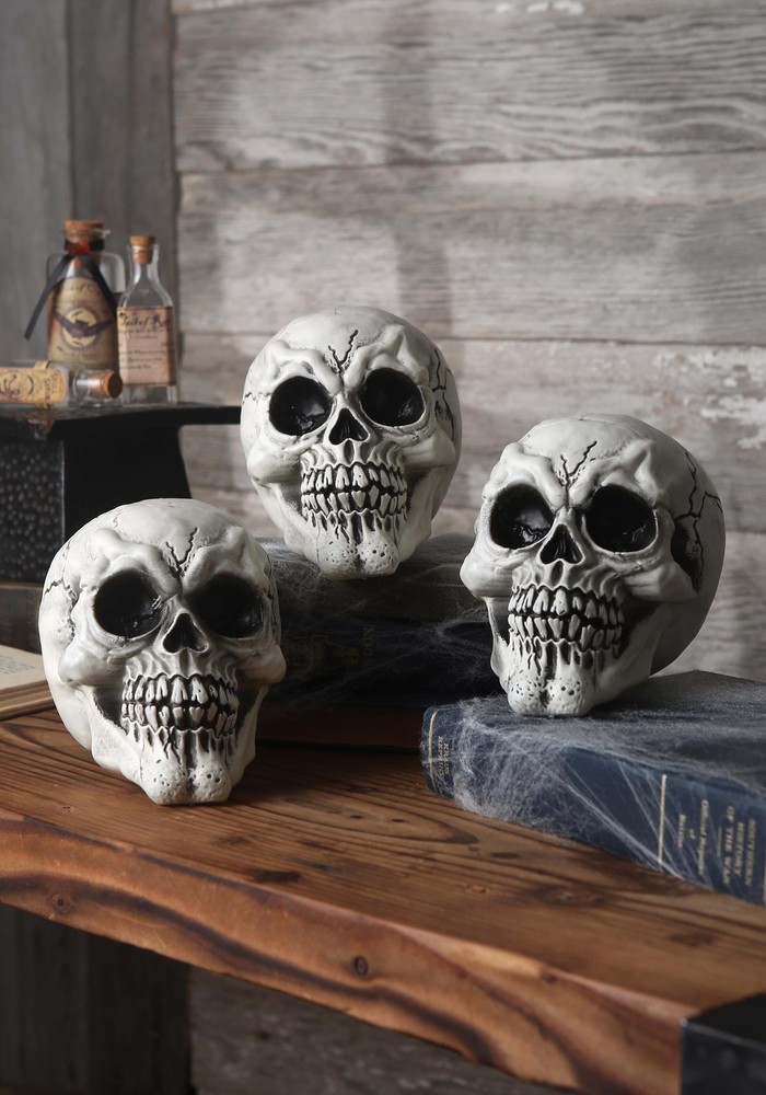 Set of 3 Large Skulls