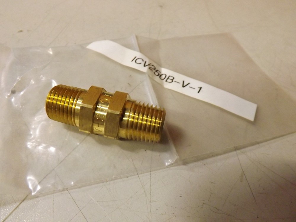 Generant 250 psi  Inline Brass Male Check Valve