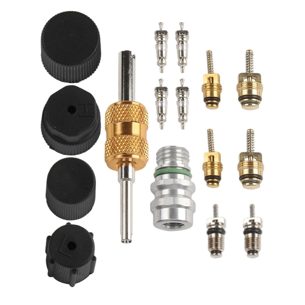 Complete AC Valve Core Kit for R12 For R134a Systems with Installation Tools
