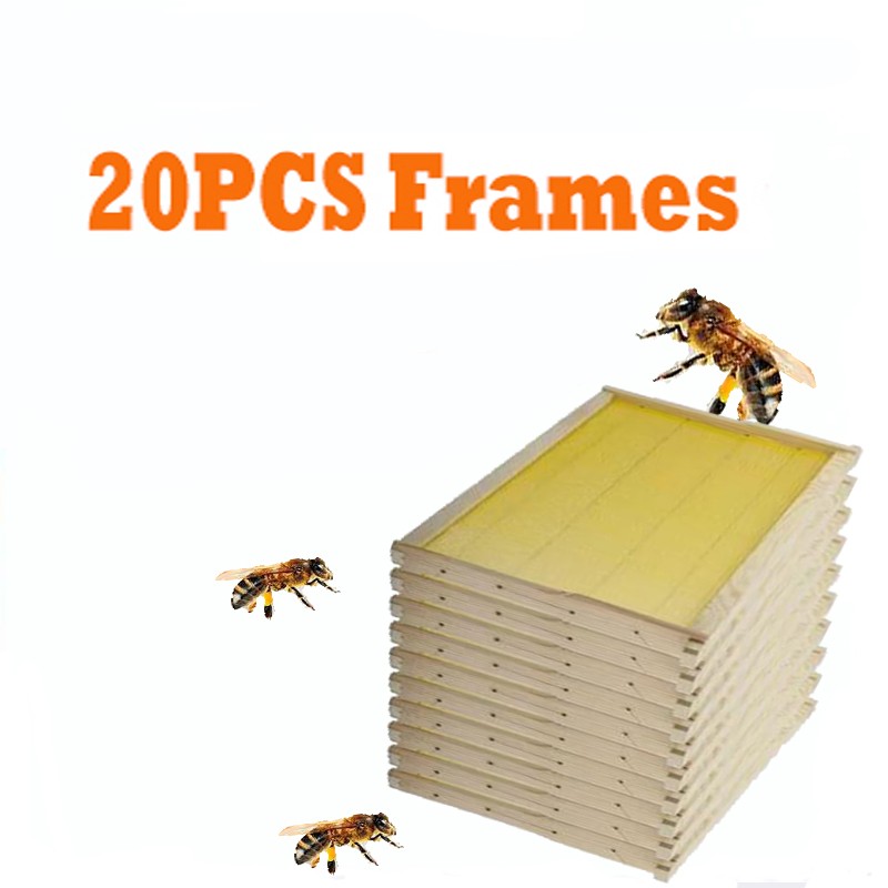 Deep Brood Bee Hive Frames and Wax Foundations,20 Pack Honey Bee Frames