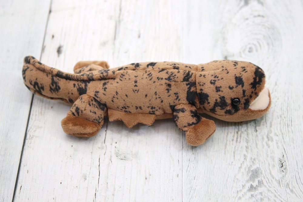Take-Off Magnetic Salamander