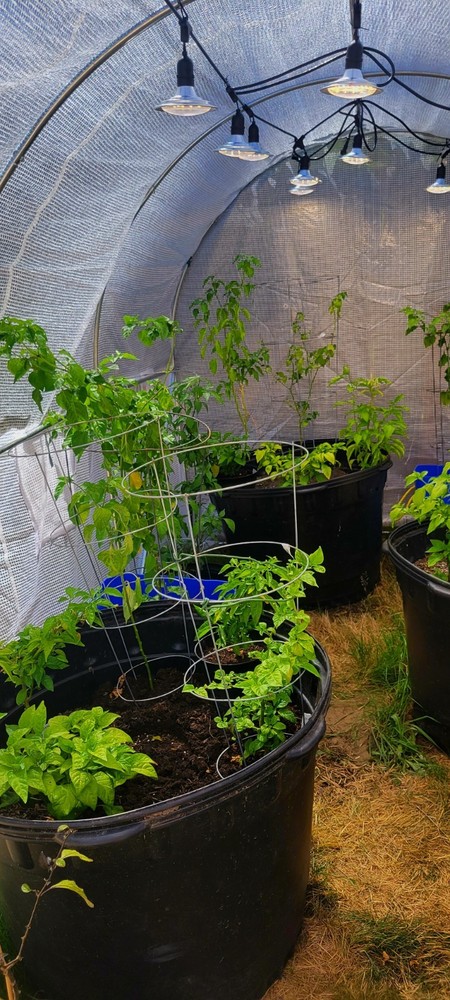 From Seed to Harvest.