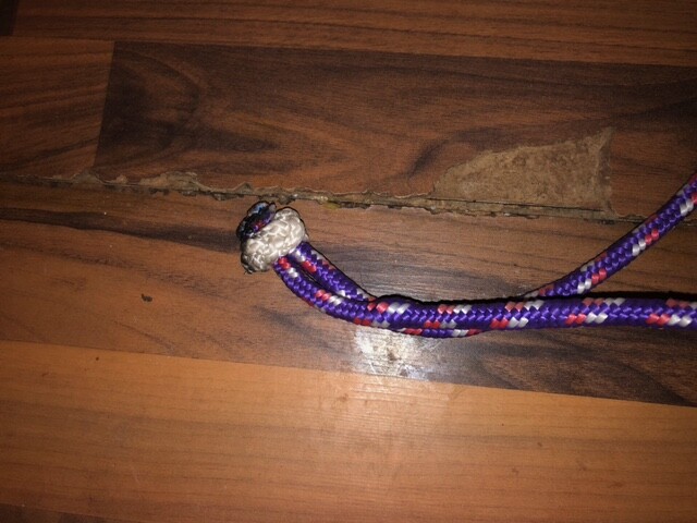 2 KNOTTED TRAINING HALTERS WITH LEAD LINES