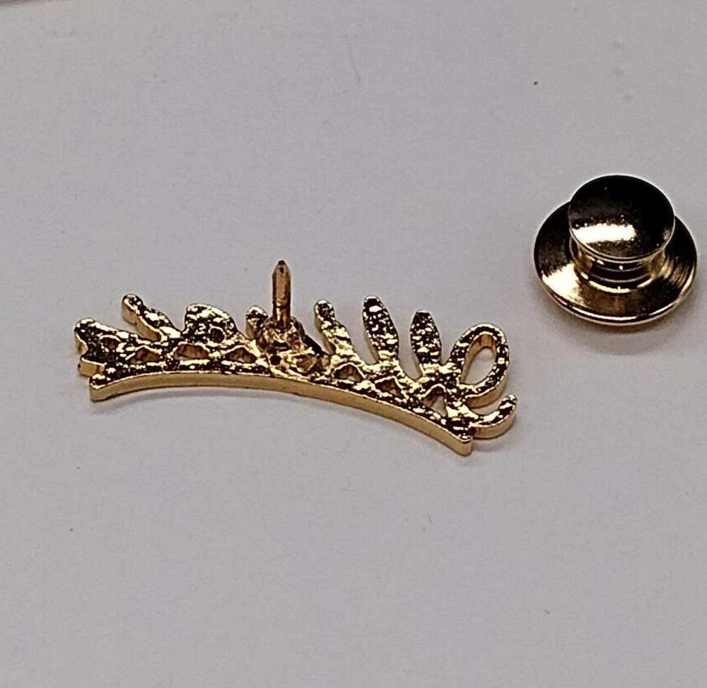 ILLINOIS Cursive Gold Tone Letters Lapel Pin