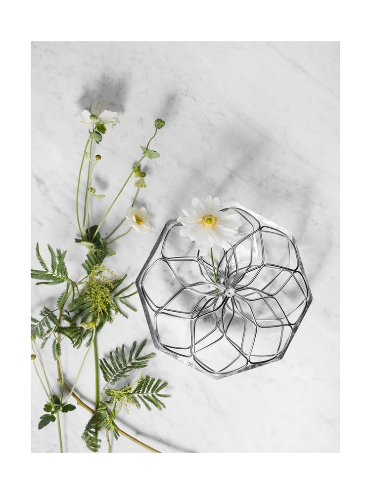 Orrefors Bloom 9" Vase
