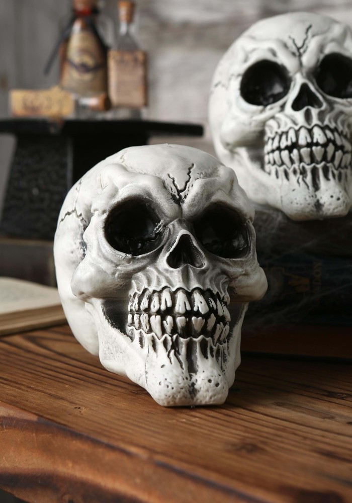 Set of 3 Large Skulls