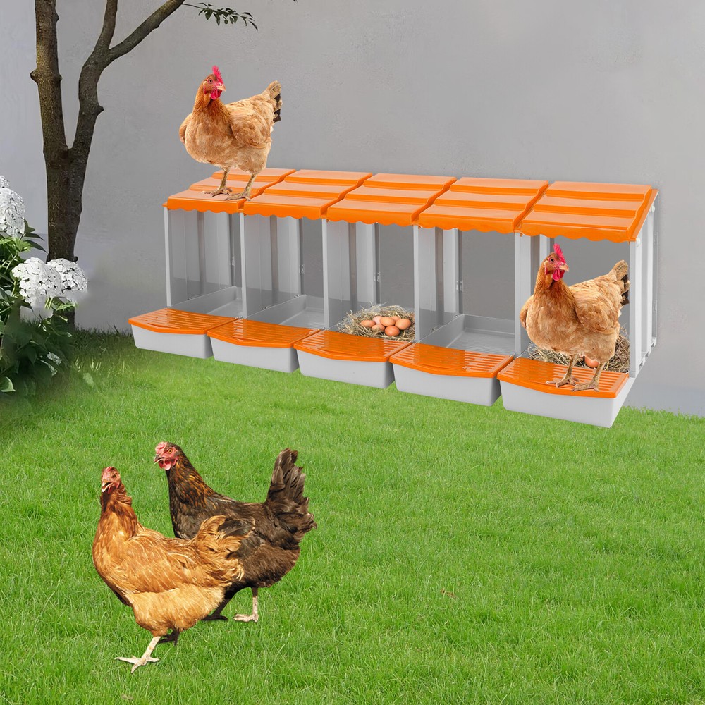 5-Compartment Chicken Nesting Box, Chicken Nest Laying Box with Egg Collection