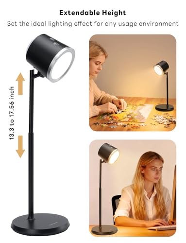 Rechargeable LED Desk Lamp, Magnetic Wall Mount LED Light, Dimmable Table Black