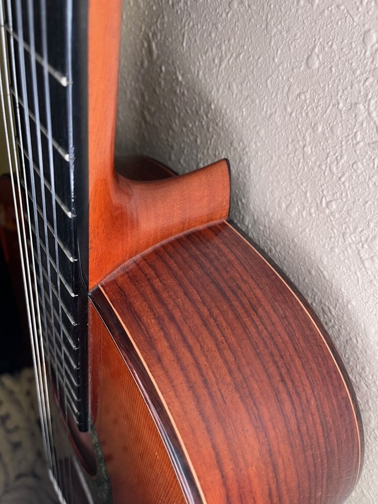 Alhambra 5P Classical Guitar With Hard Case
