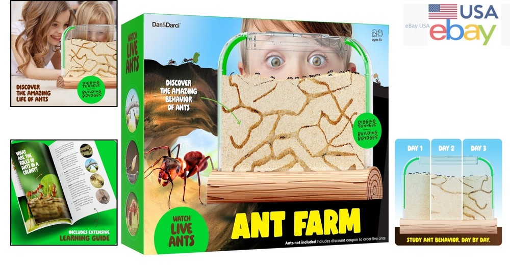 Creative Ant Farm for Kids with Sand, Learning Materials, and Observation Guide