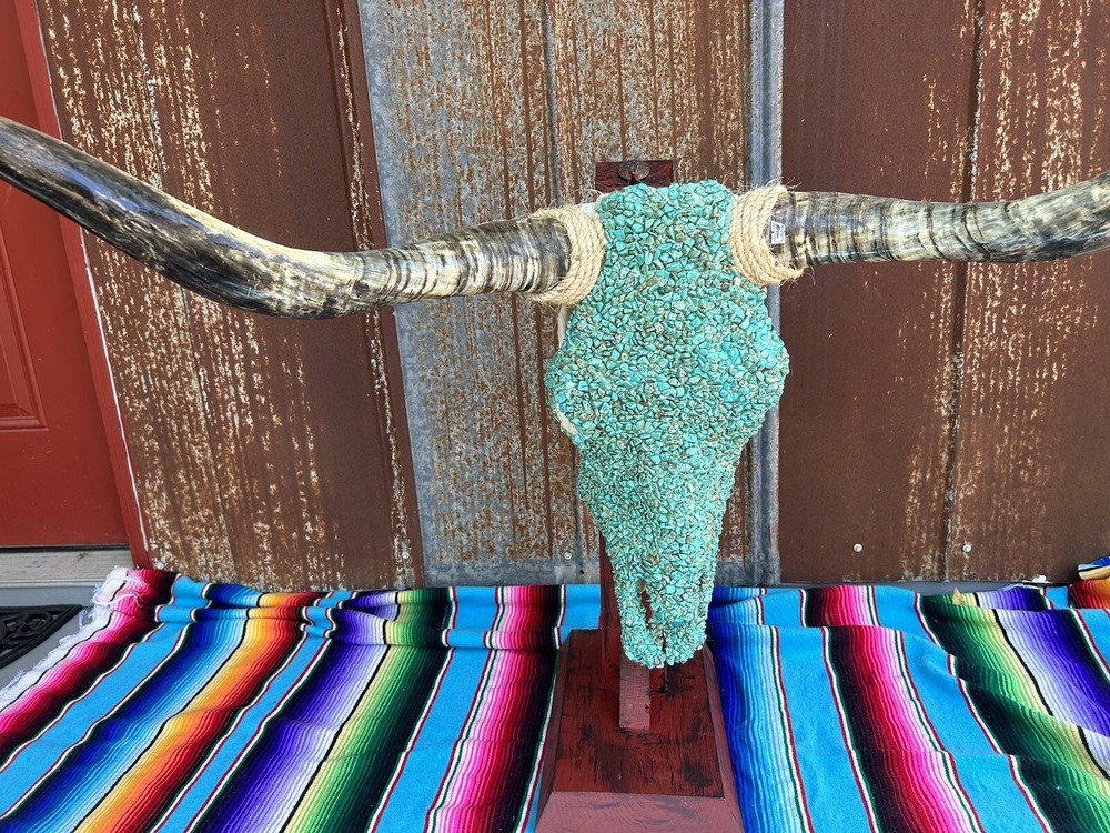 New Turquoise Long Horn Skull