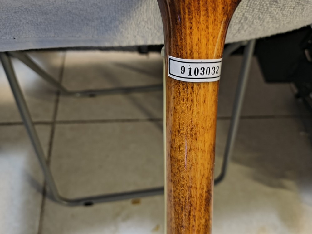 Washburn B9 Americana Series 5-String With Leather Case