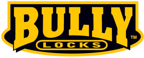 Bully Locks 15MM 6 Ft. With Integrated Cable Lock Motorcycle 132207